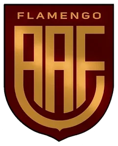 Flamengo/Sp Youth