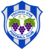 Tochigi City